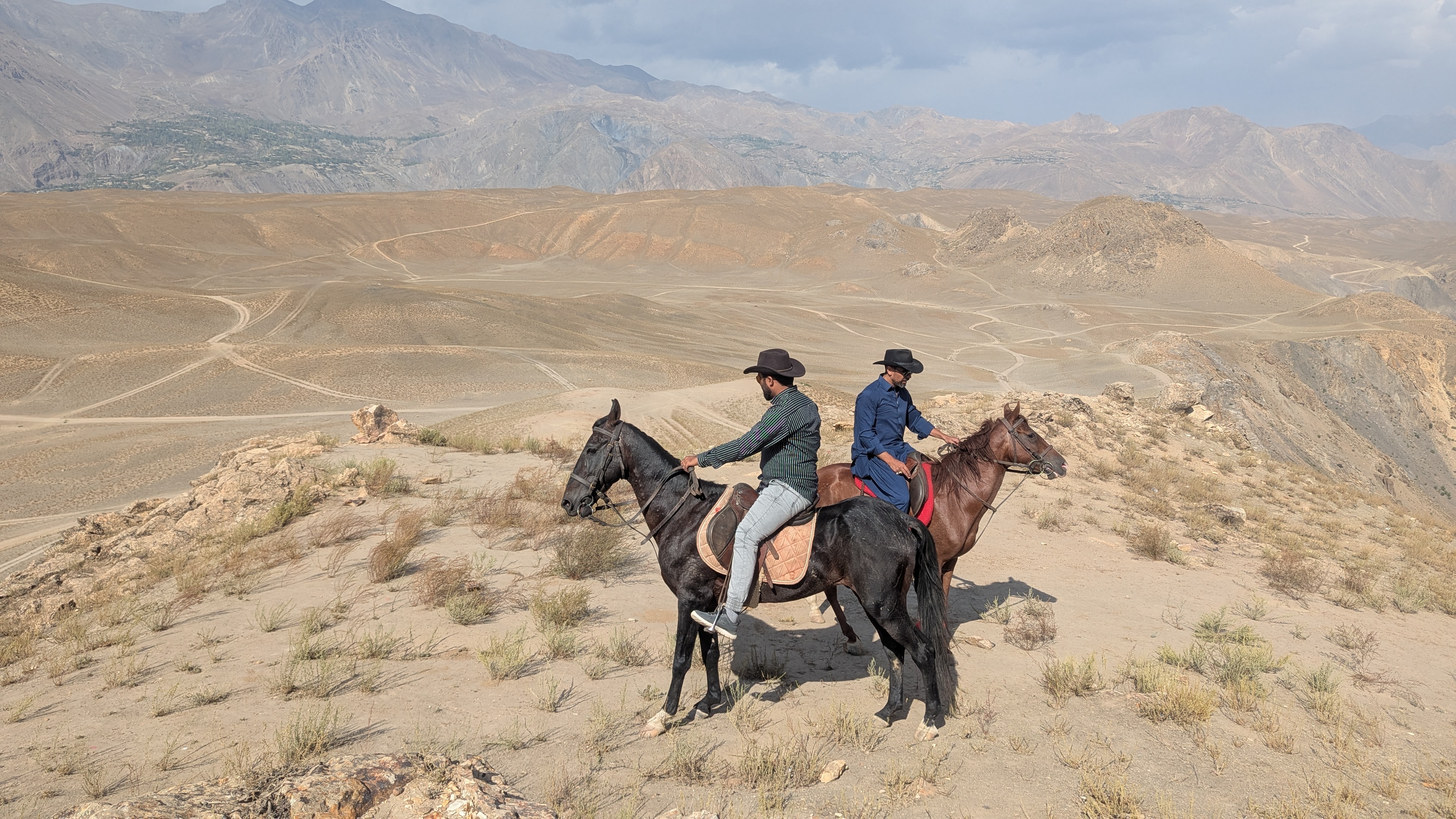 horse with riders